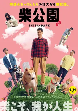 黄色动图视频