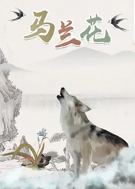 很酷的魅力