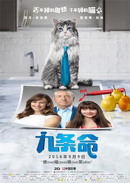 精品久久久久久久久久久