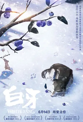 99er精品视频