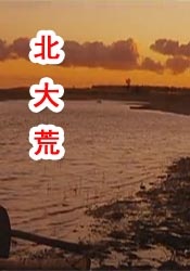 国产永久在线视频