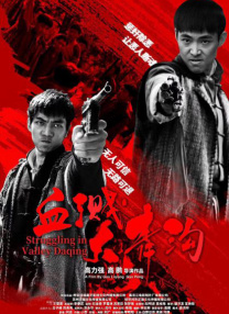 国内精品久久久久女同